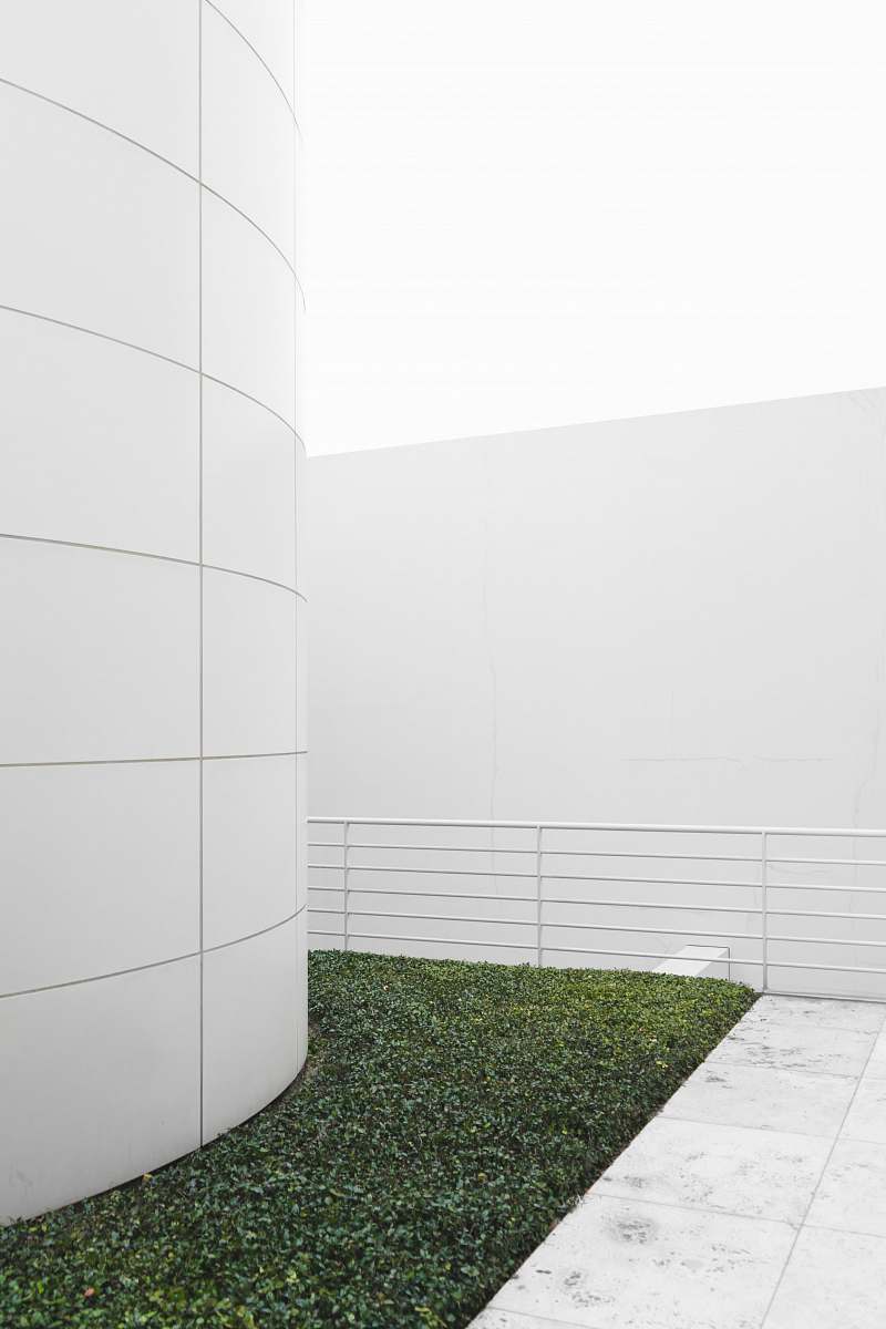 los angeles terrace with plant field minimal